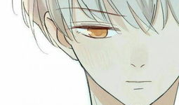 男男漫画污,揭秘男男漫画中的污力全开瞬间